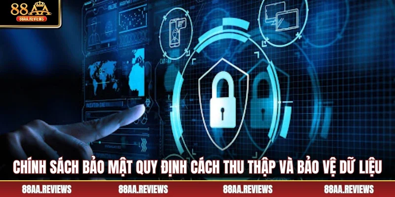 Chính sách bảo mật quy định cách thu thập và bảo vệ dữ liệu
